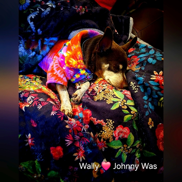 Johnny Was Workshop Purple Curacao Oversized Blouse Size Medium NWT - Picture 13 of 15